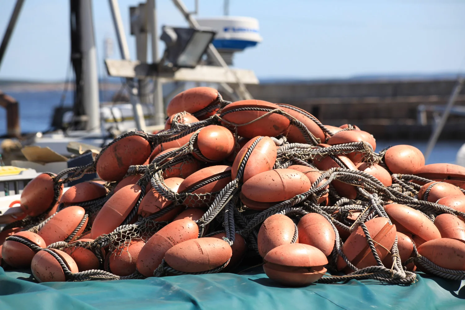 Det er fremdels noen fiskere som har base i Vikerhavn.