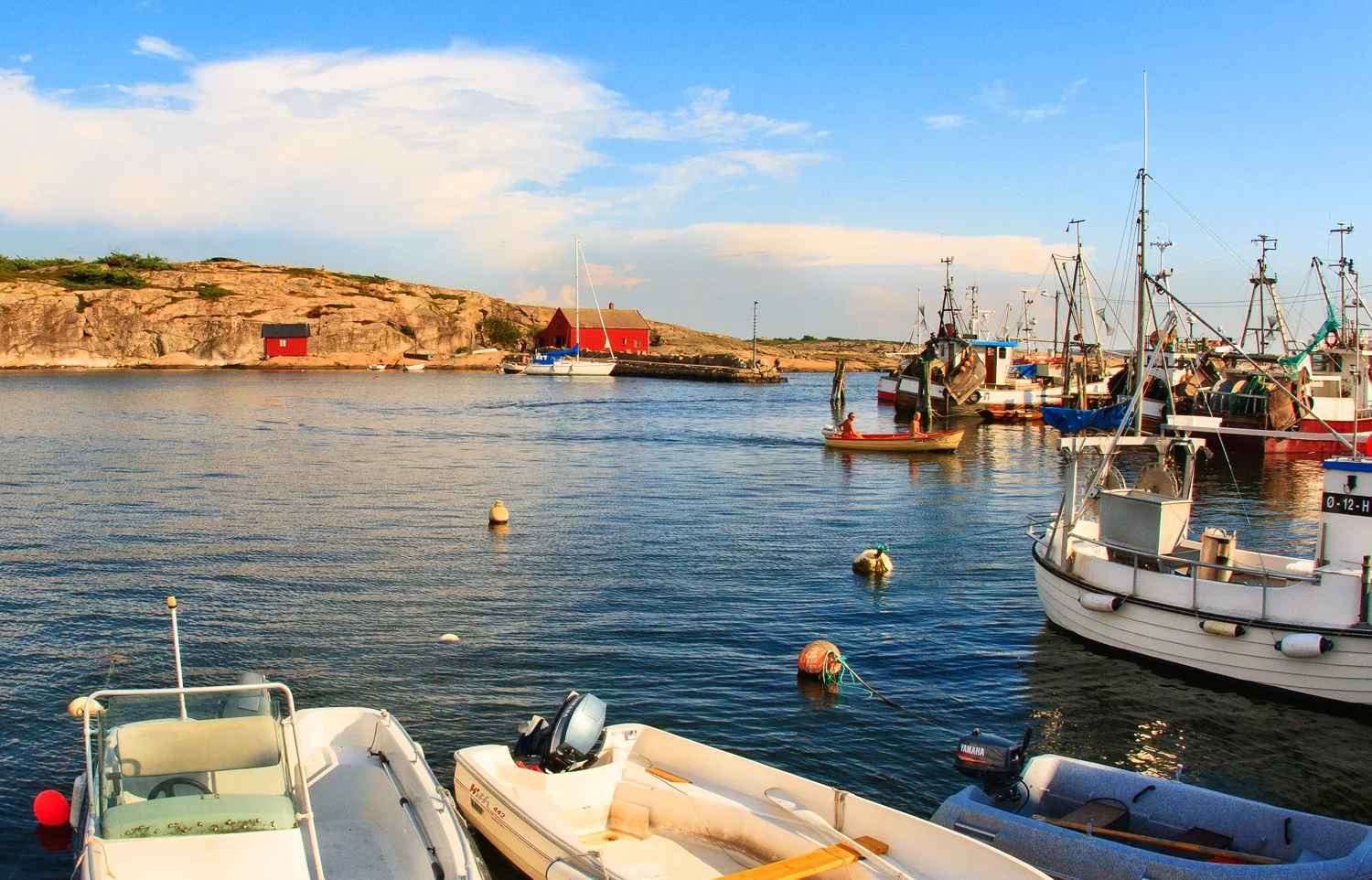 Hvaler i norge