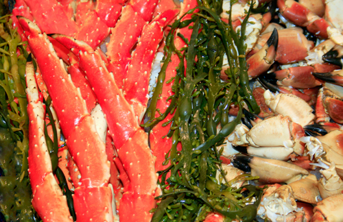 Fjordfisk-3_edited-1.jpg