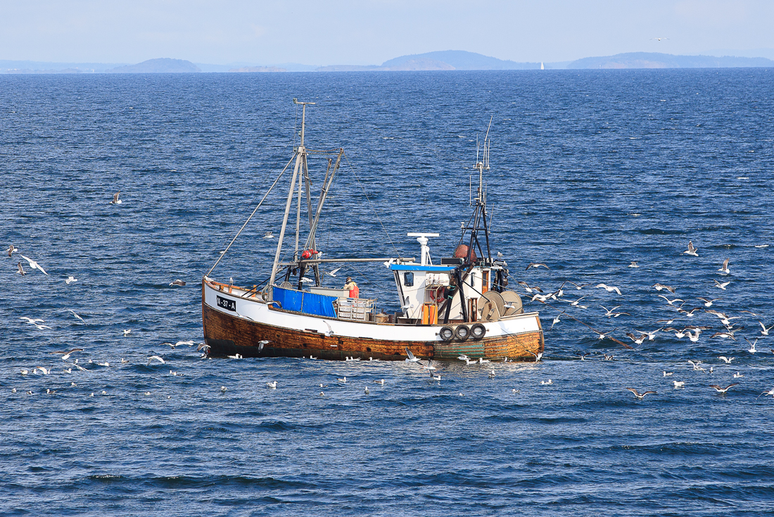 Midtfjords ute i Ytre Oslofjord.