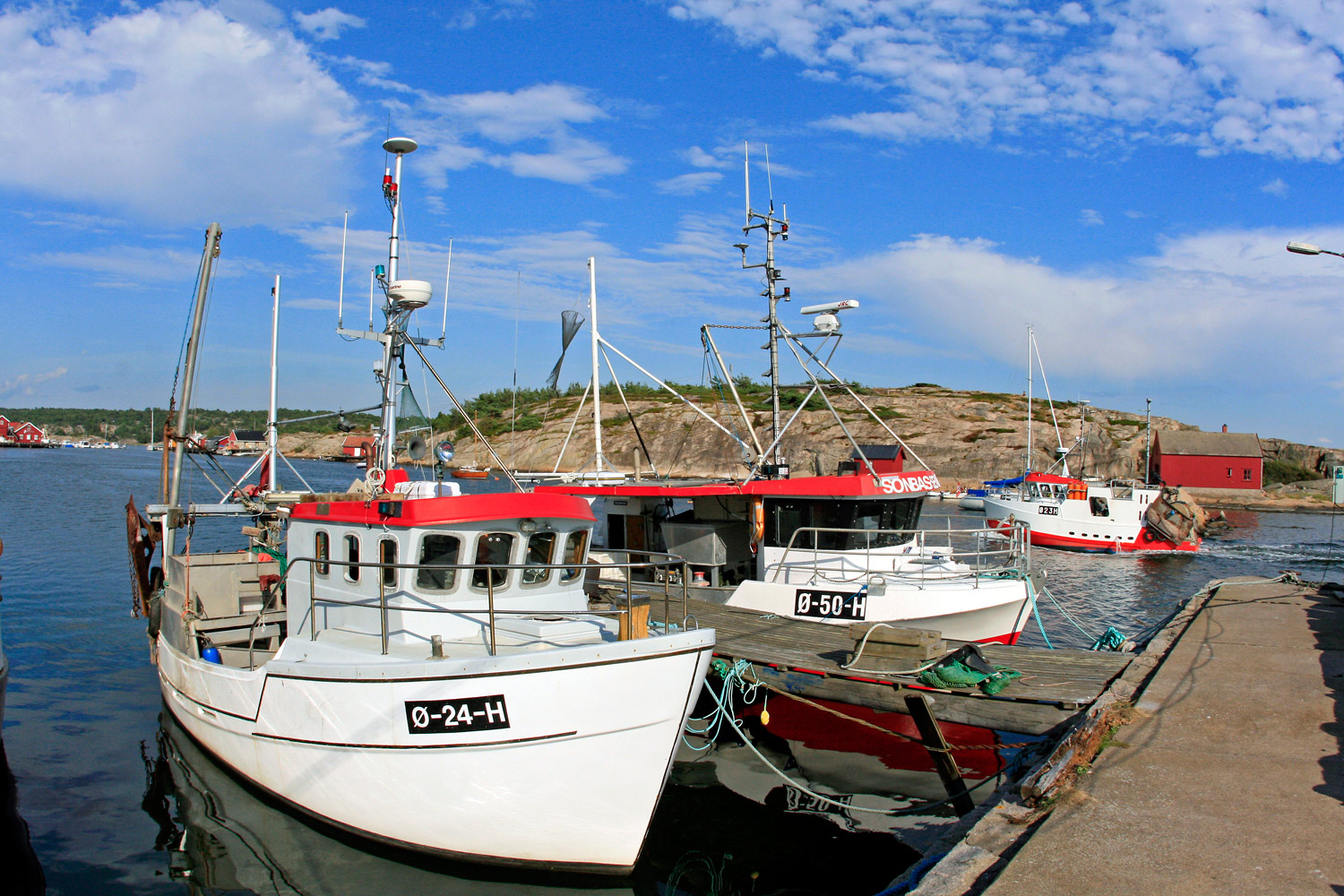 Fjordfisk--og-91.jpg