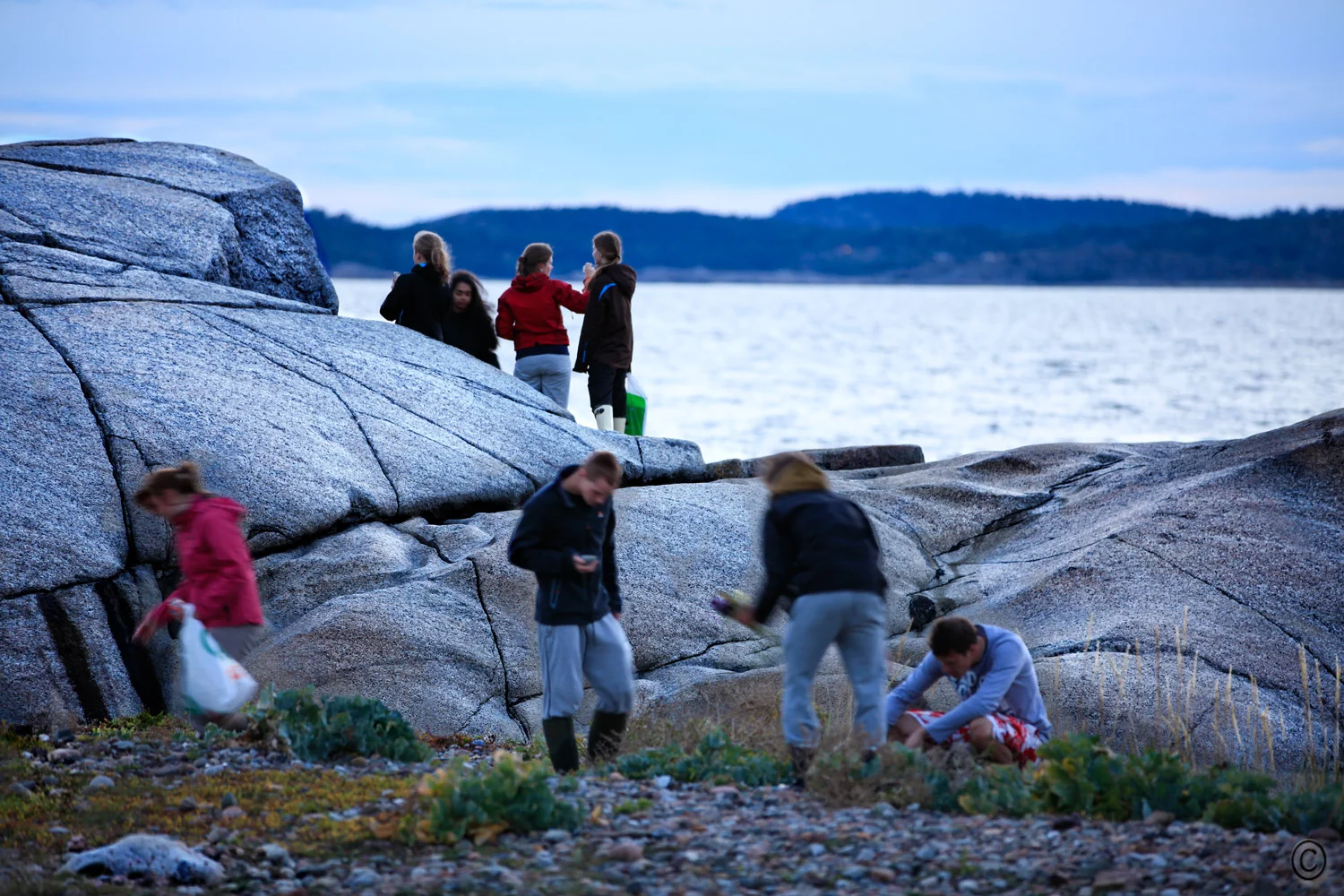 Strandryddedagen-Tjøme.jpg