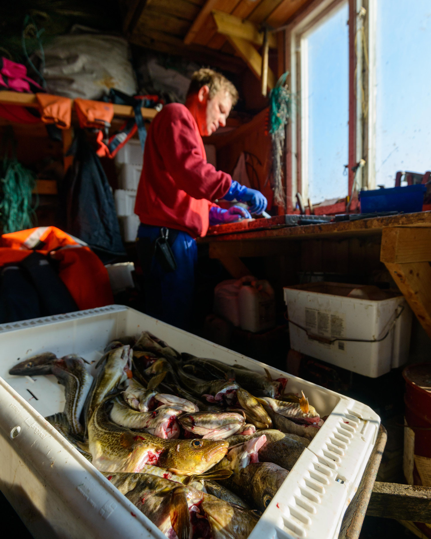 Vi håper for fremtiden at det er kun havets delikatesser fiskerne trekker opp fra både Hvalers farvann og andre steder på kloden.