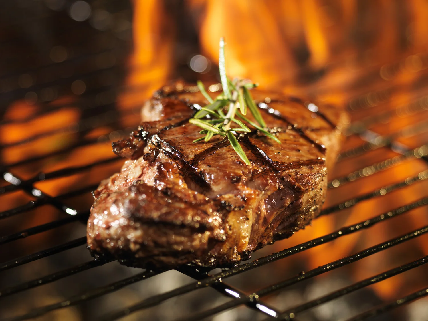 Mako-sommercafe-entrecote-9768-(2)---Copy.jpg