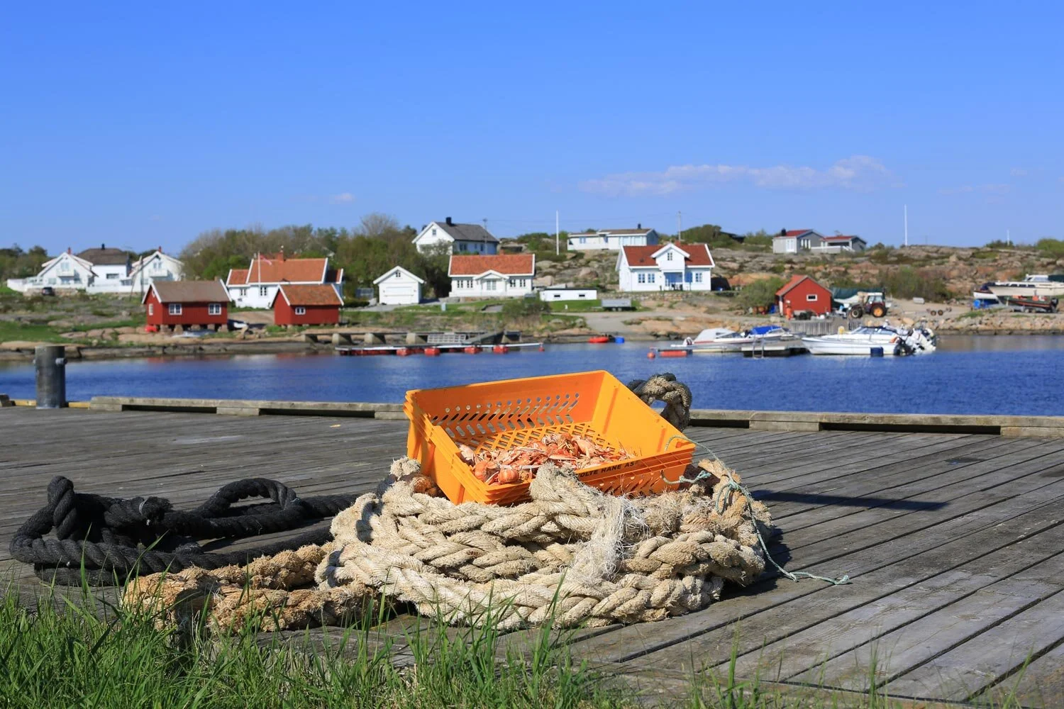 asmaloy-hvaler-1O2A5666.jpg