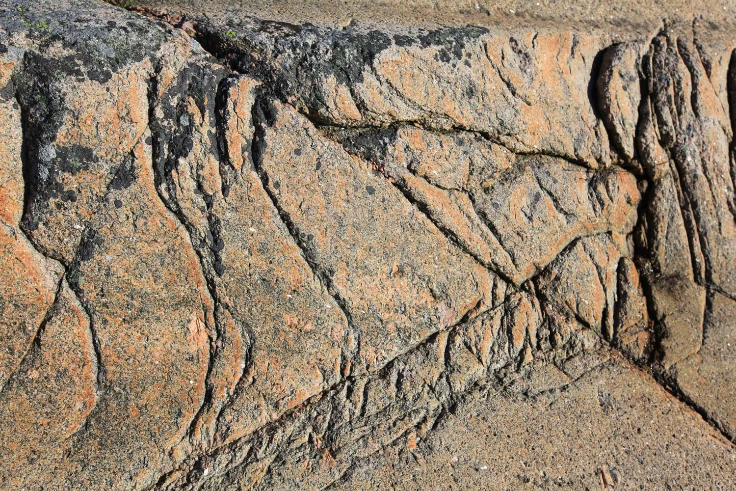Østfold-1-021.jpg