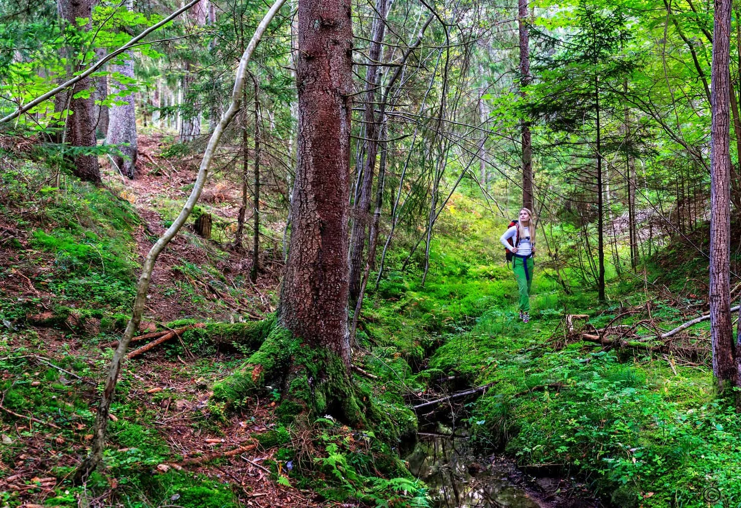 Lindalen-stående-vid-web-Uten_navn_Panorama1.jpg