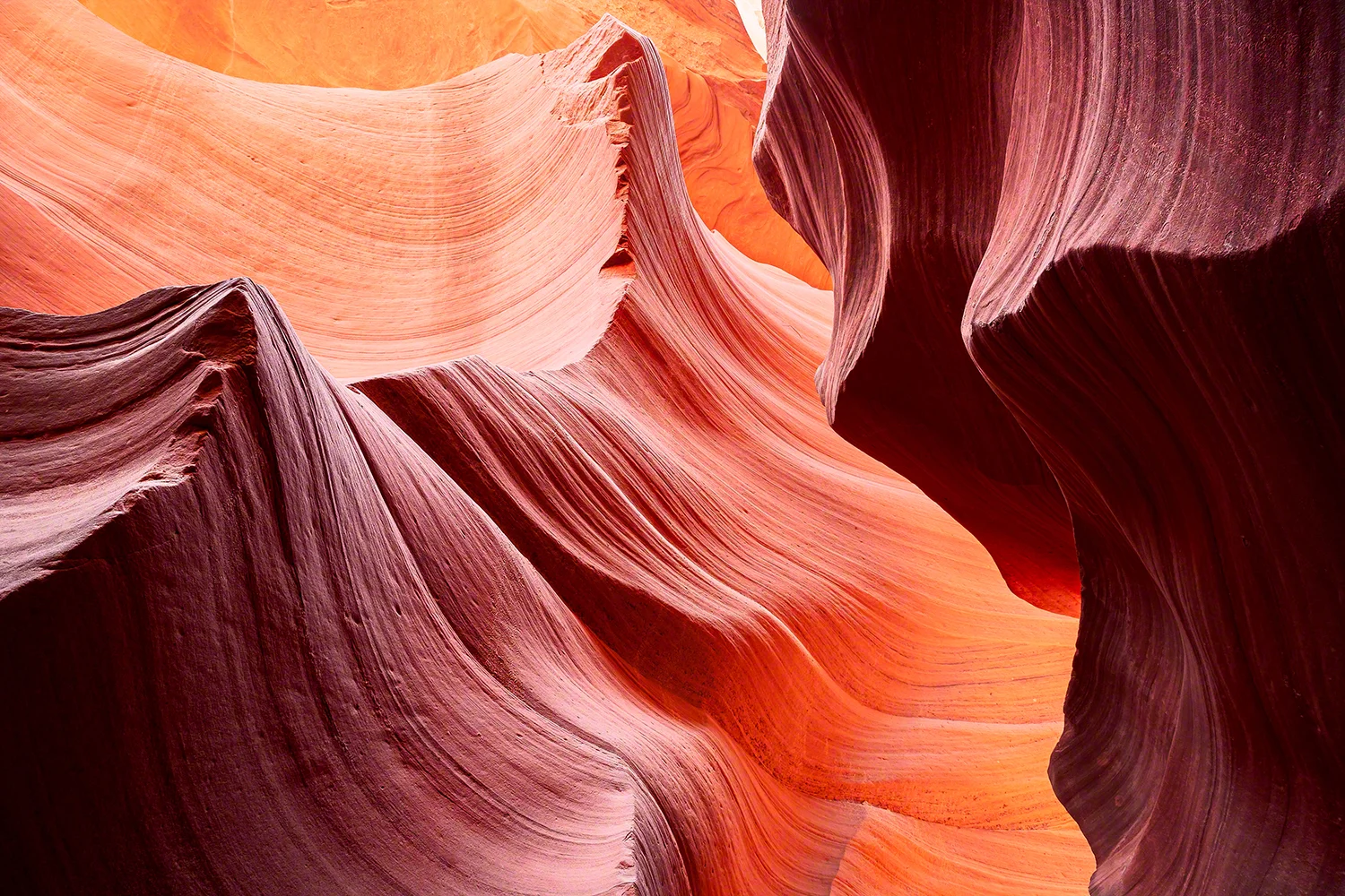 Color Wave