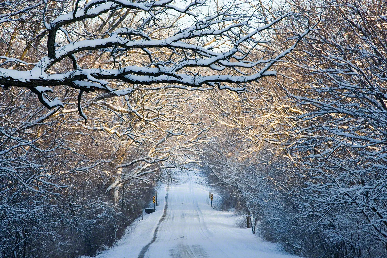 Winter Morning on Cold Spring Road