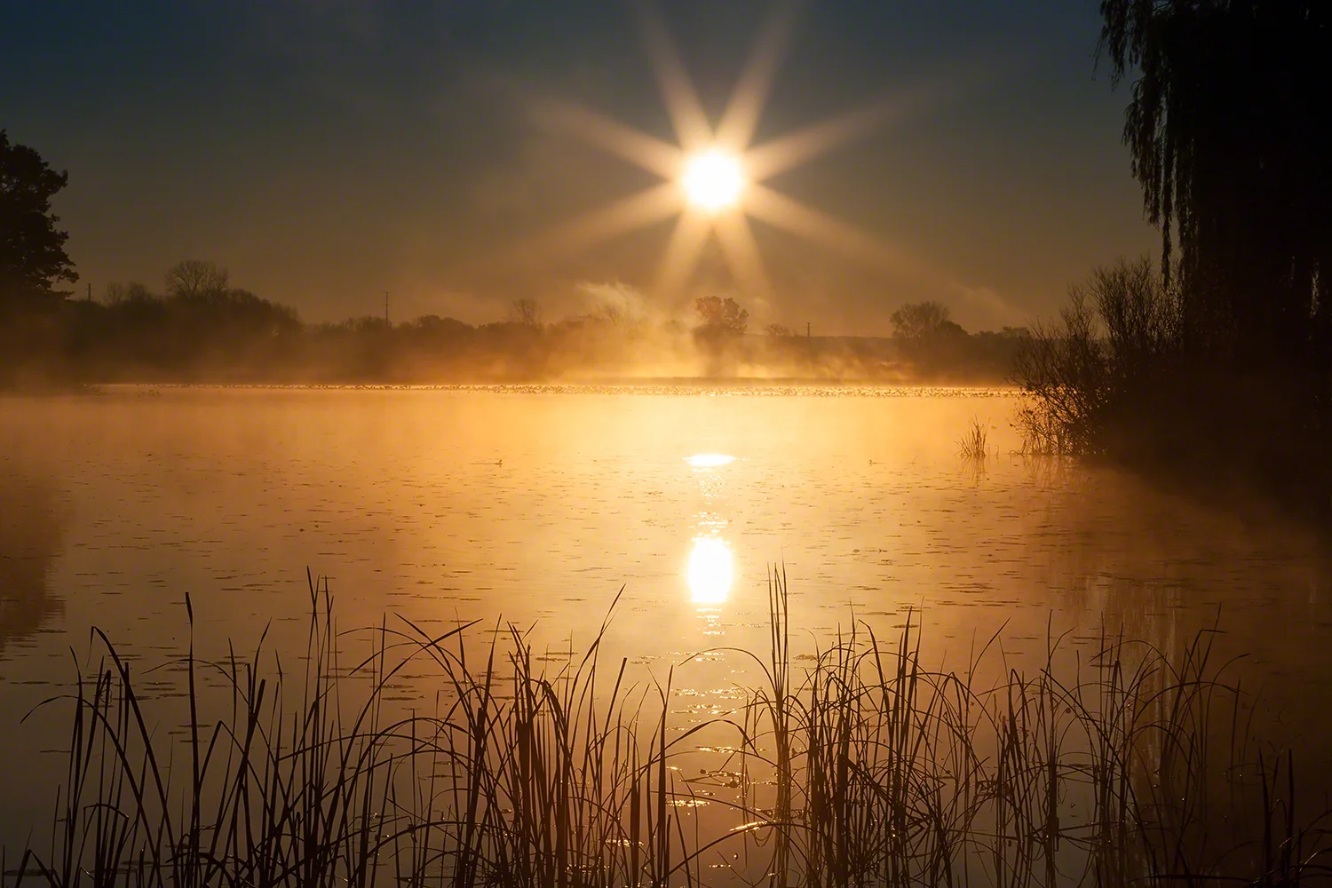 Lake of Gold