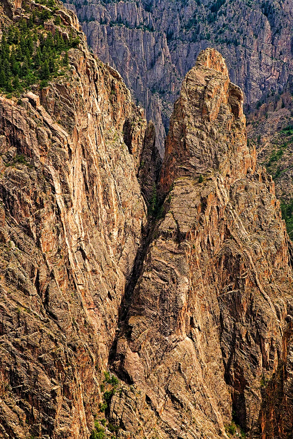 Fissure