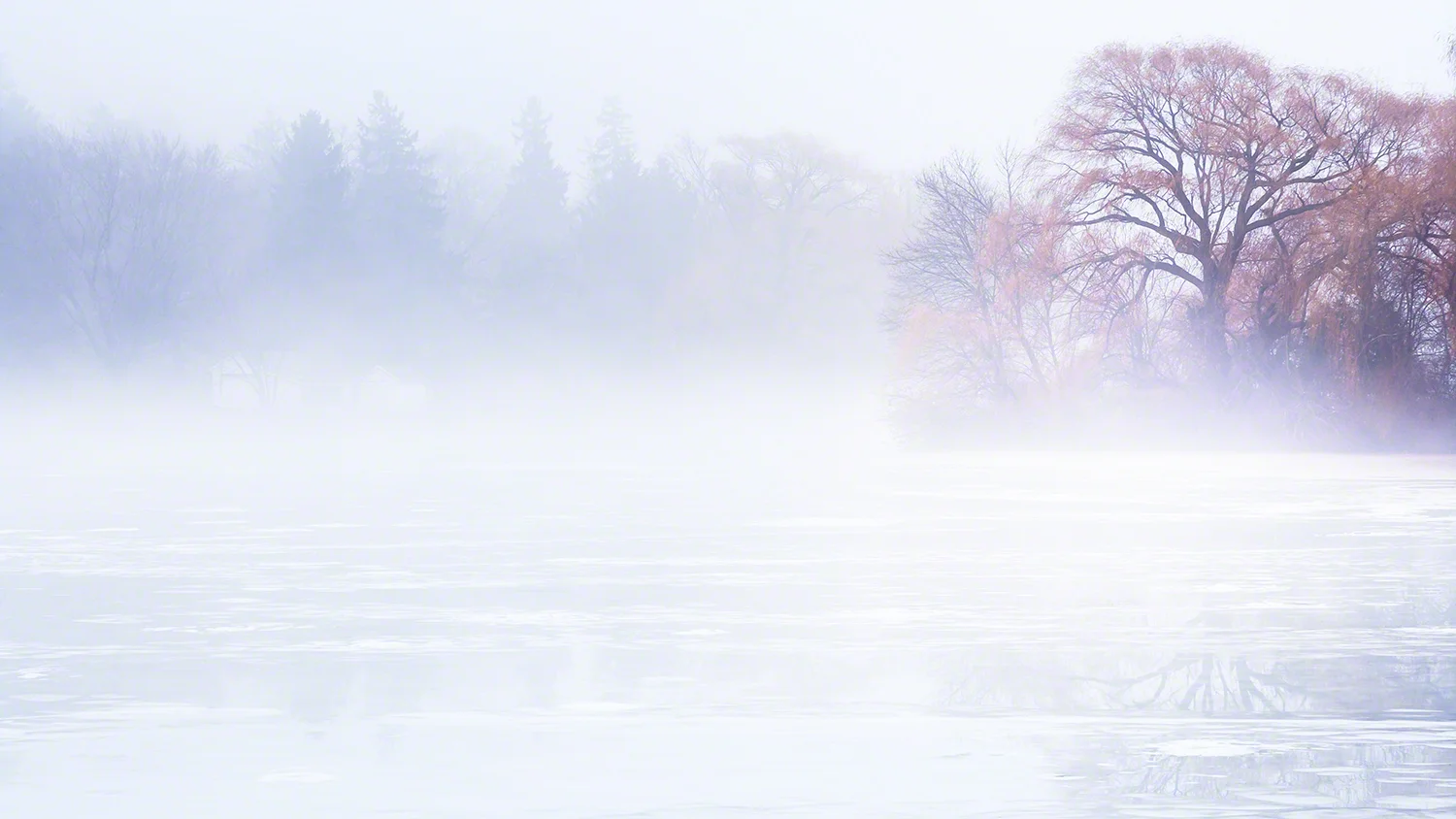 Thaw