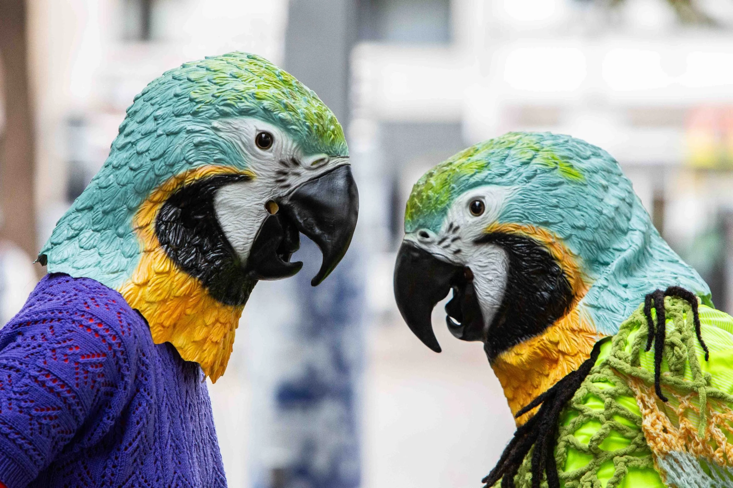 WhatsApp Image 2025-10-16 at 21.55.37.jpeg