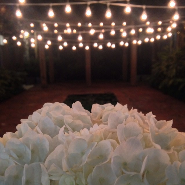  Bride's wedding flowers. 