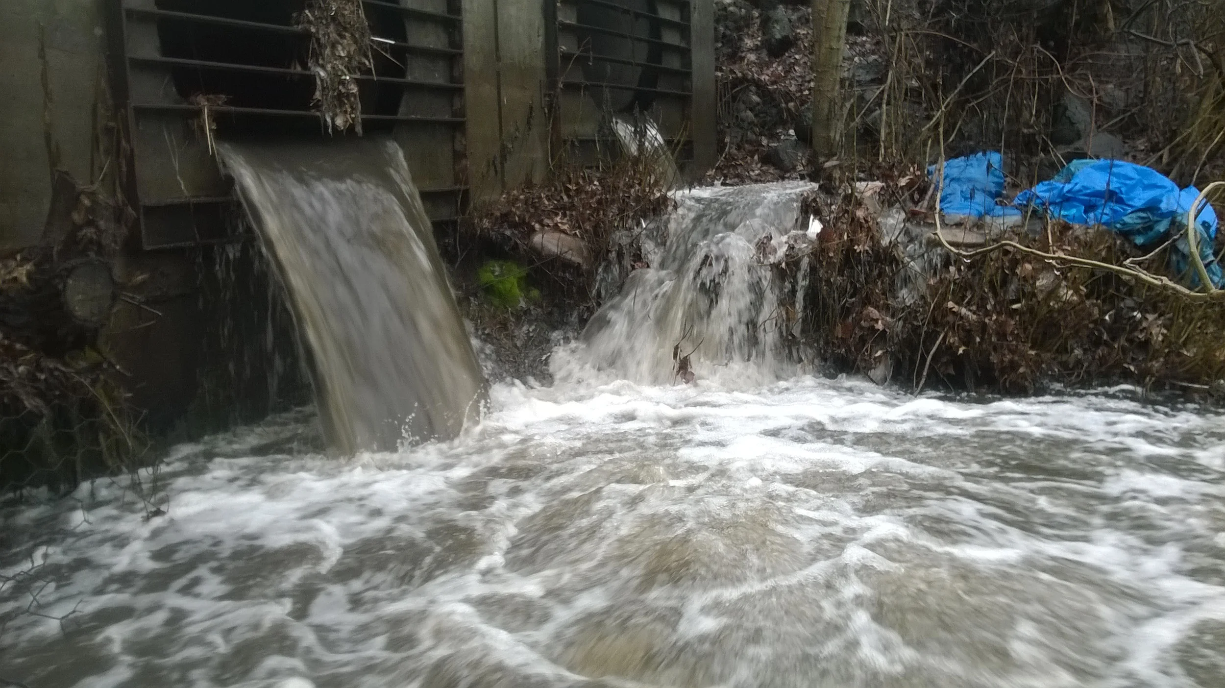 Storm water runoff from Boise’s Central Addition neighborhood on the southeast edge of downtown flows directly into the Boise River. (Photo by Liz Paul)