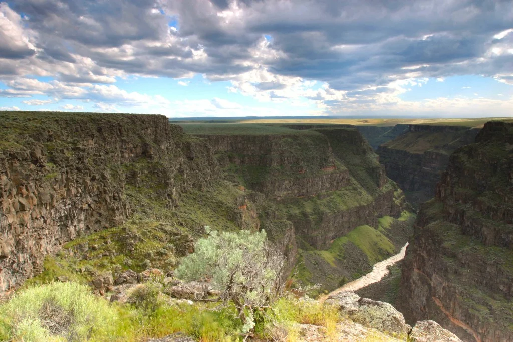 The Bruneau River Canyon is one of 14 rivers protected as Wild and Scenic Rivers with passage of the Owyhee Initiative in 2009. Your feedback on a BLM management plan can help mold future management activities. (Photo by Kevin Lewis)