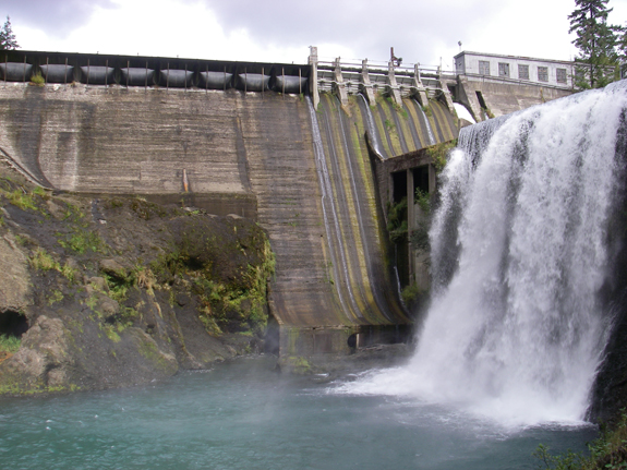 Salmon responded rapidly when Condit Dam was removed from the White Salmon River in Washington in 2011. (Photo by Thomas O’Keefe, American Whitewater)
