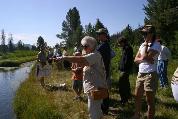Visitors to the 10th annual Sawtooth Salmon Festival watch chinook salmon spawning in the Salmon River near Stanley. (photo by Greg Stahl)