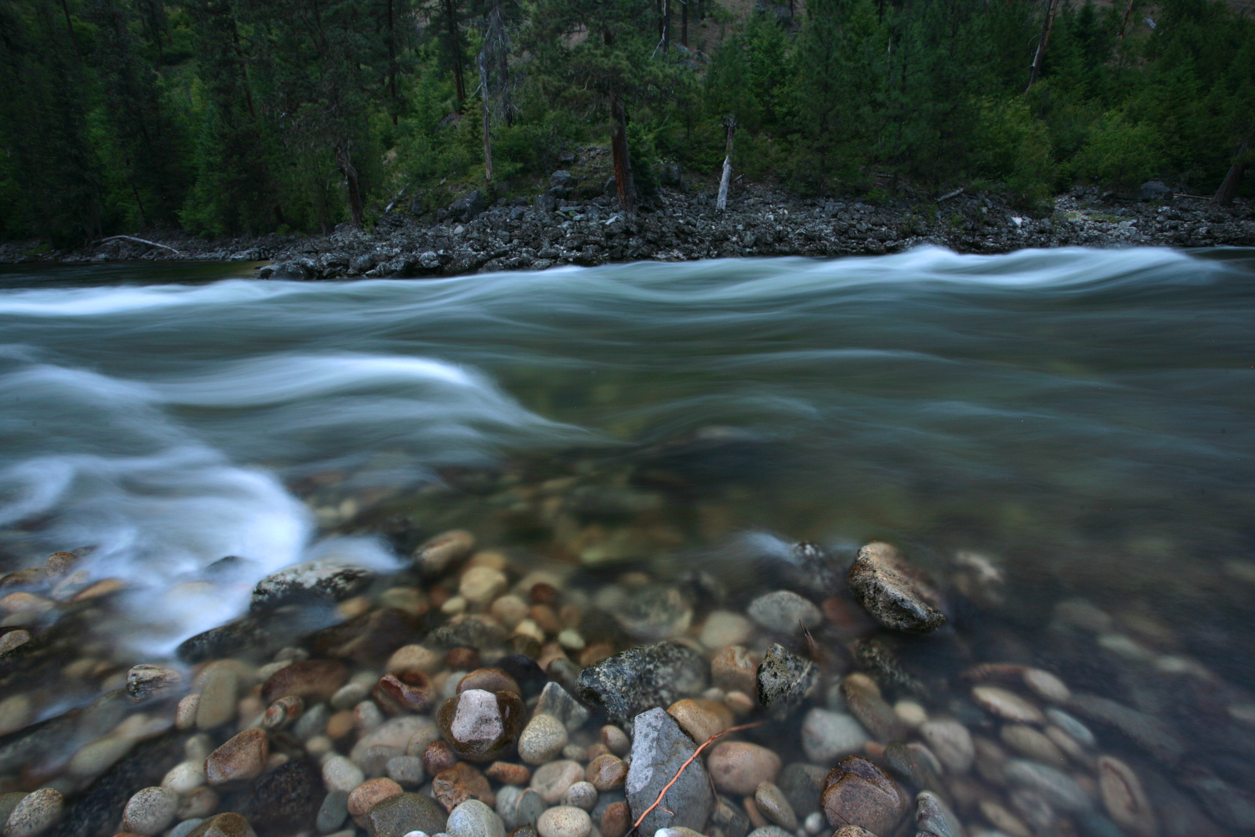 The Wild and Scenic Selway River