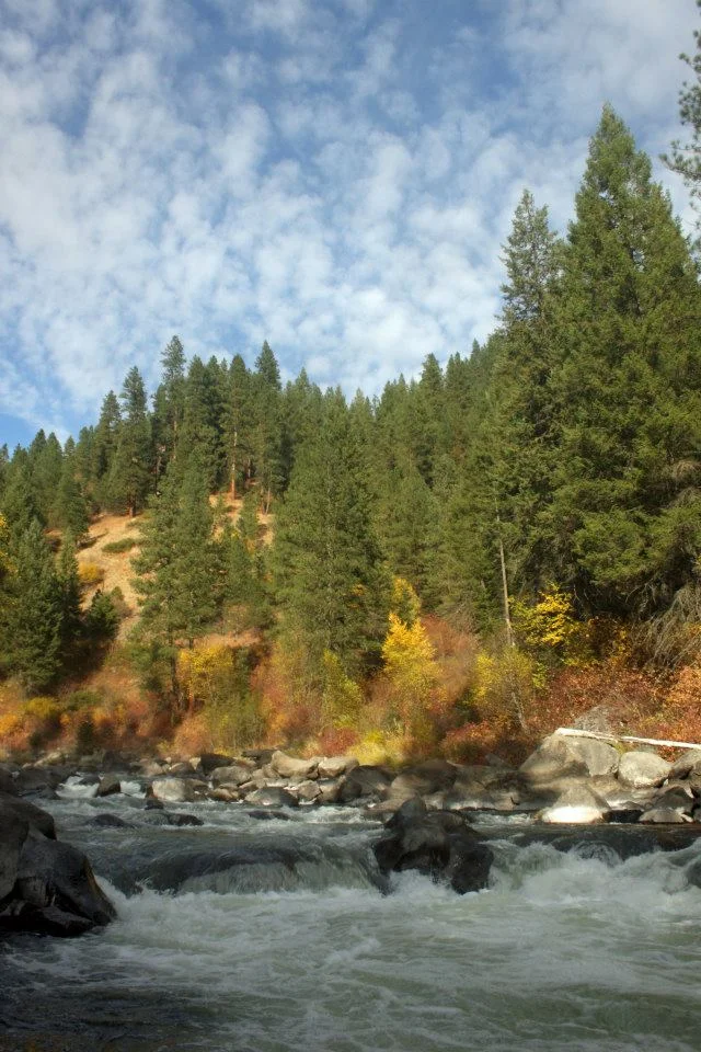 NF Payette autumn @Greg Stahl.jpg