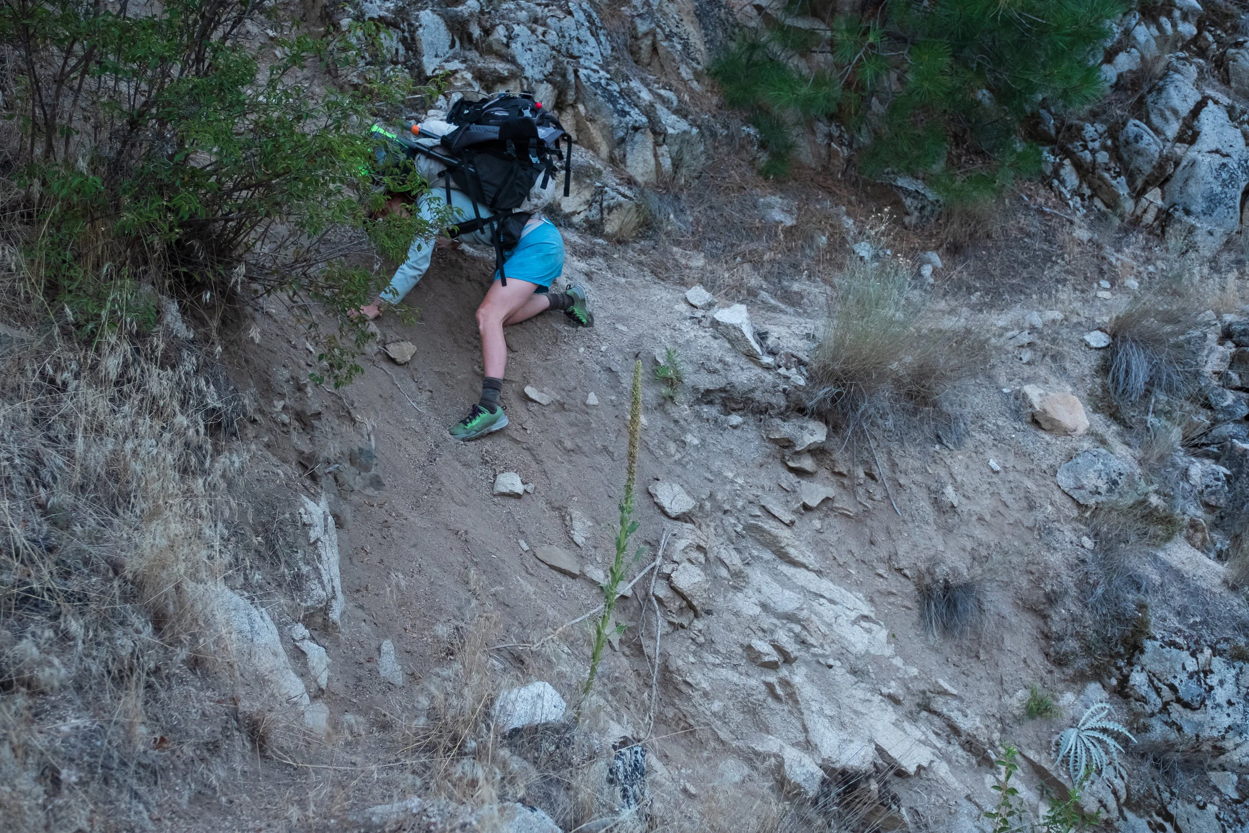 20180807-DSCF9285.jpg