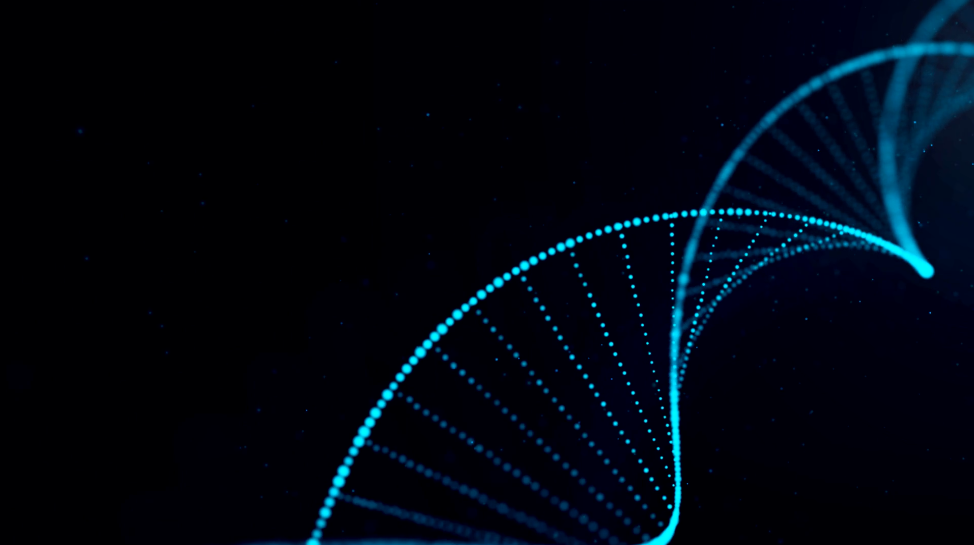 Jack Zamora M.D. - Chief Medical Advisor