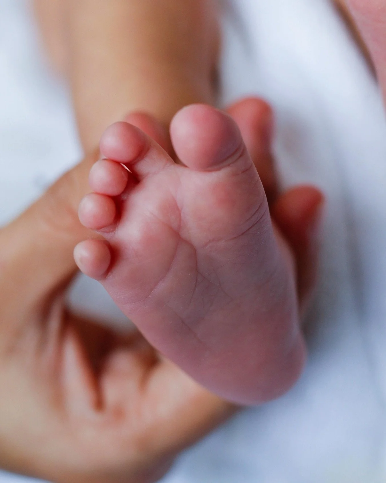 Welcome to the world, little one 💕 We are thrilled to announce Dr. Kober and her family are celebrating the arrival of their beautiful baby girl! Both mom and baby are happy and healthy, and our whole team is overjoyed to share in this sweet new cha