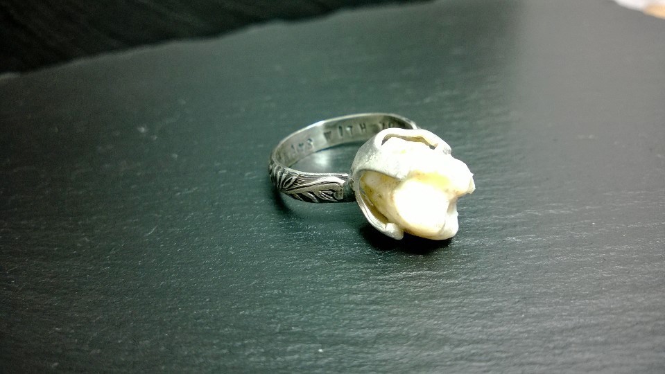 tooth engagement.jpg