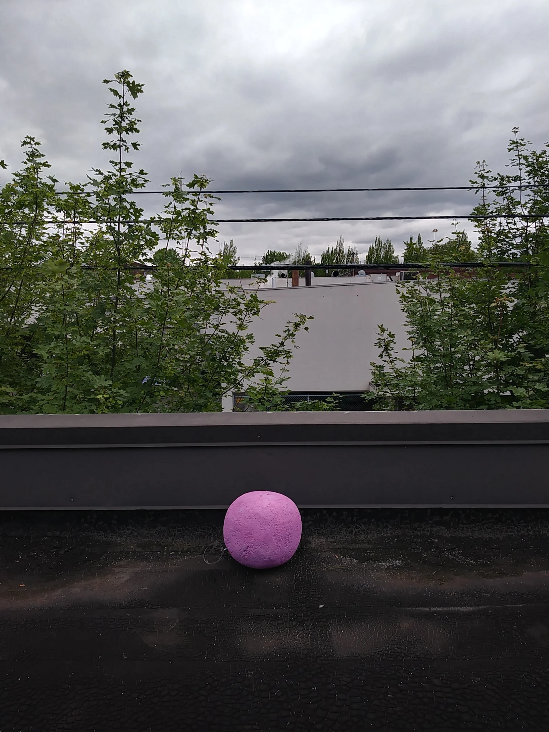 20180511_124009_HDR.jpg