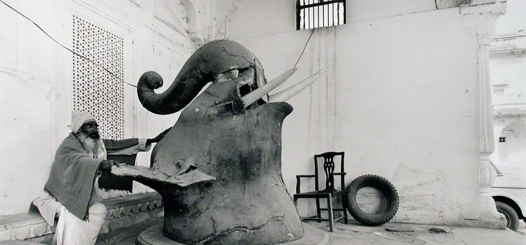 S1Elephant Head.jpg