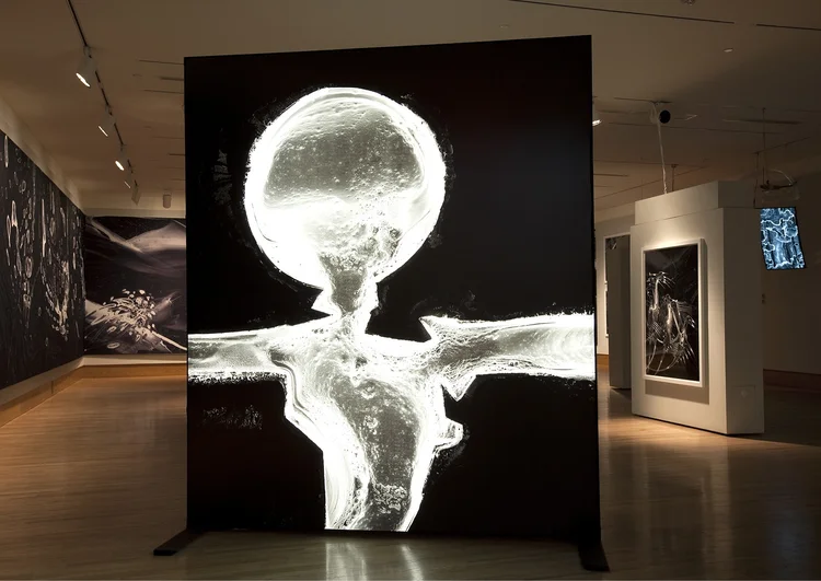 1. CARBON - 9'x8' light box side 1.jpg