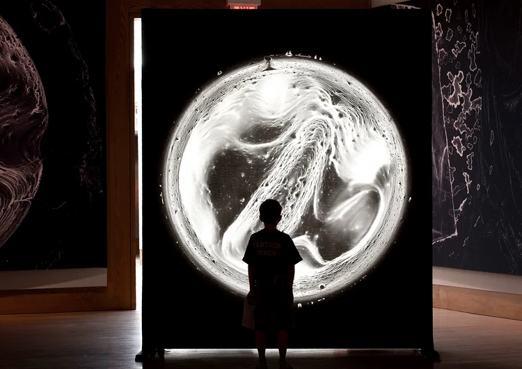 3. CARBON - 9'x8' light box side 2.jpg