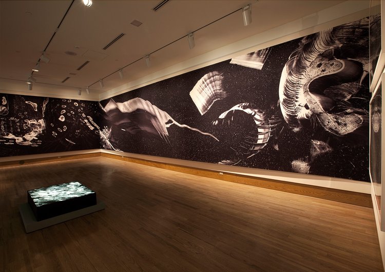4. CARBON - 10'x40' print and 4'x3'x3' light box.jpg