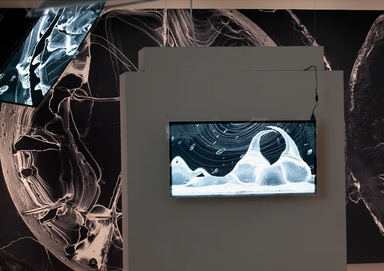 5. CARBON - 24%22x48%22 light panel.jpg