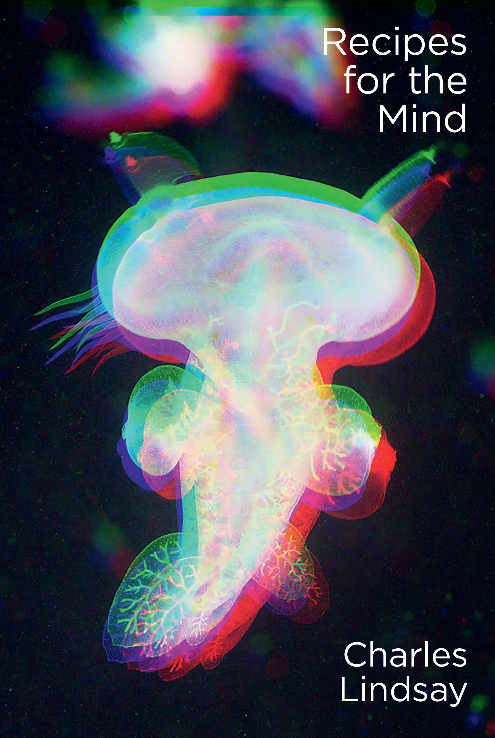 RM123.RECIPES_forthe_MIND_145x216mm_COVER_19FEB_.jpg