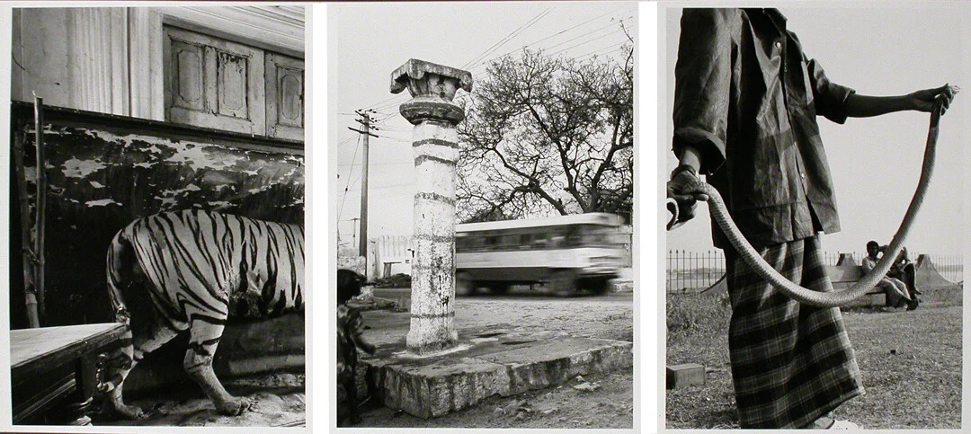 SUBCONTINENT moving-image study: a composite field image exploring atmosphere, displacement and the unstable memory of place.