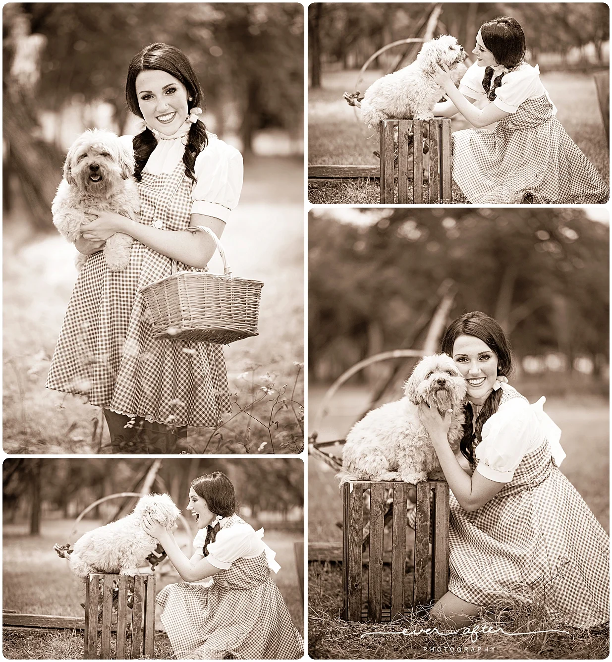 The-Wizard-of-Oz.jpg