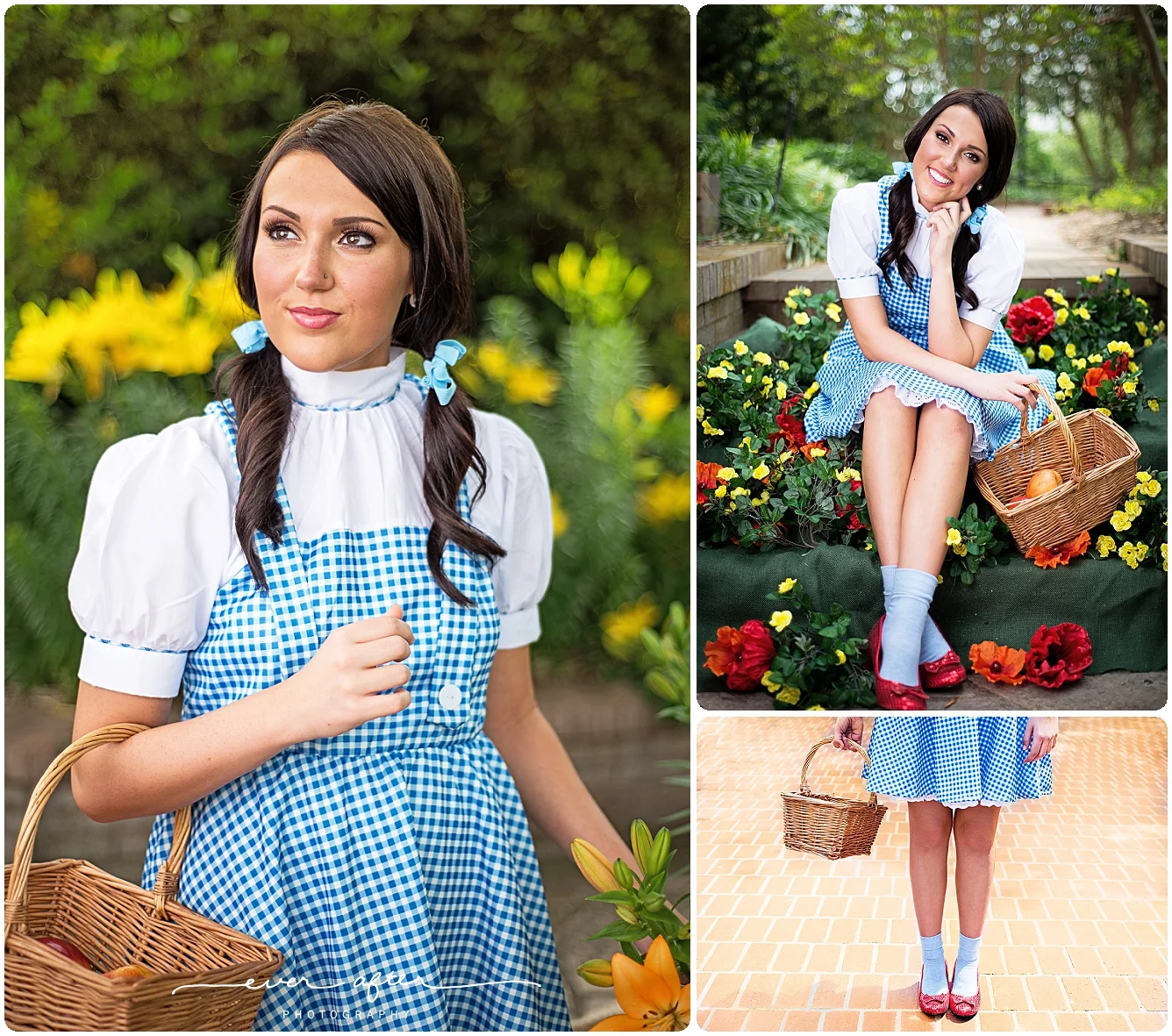 The-wizard-of-oz-senior.jpg