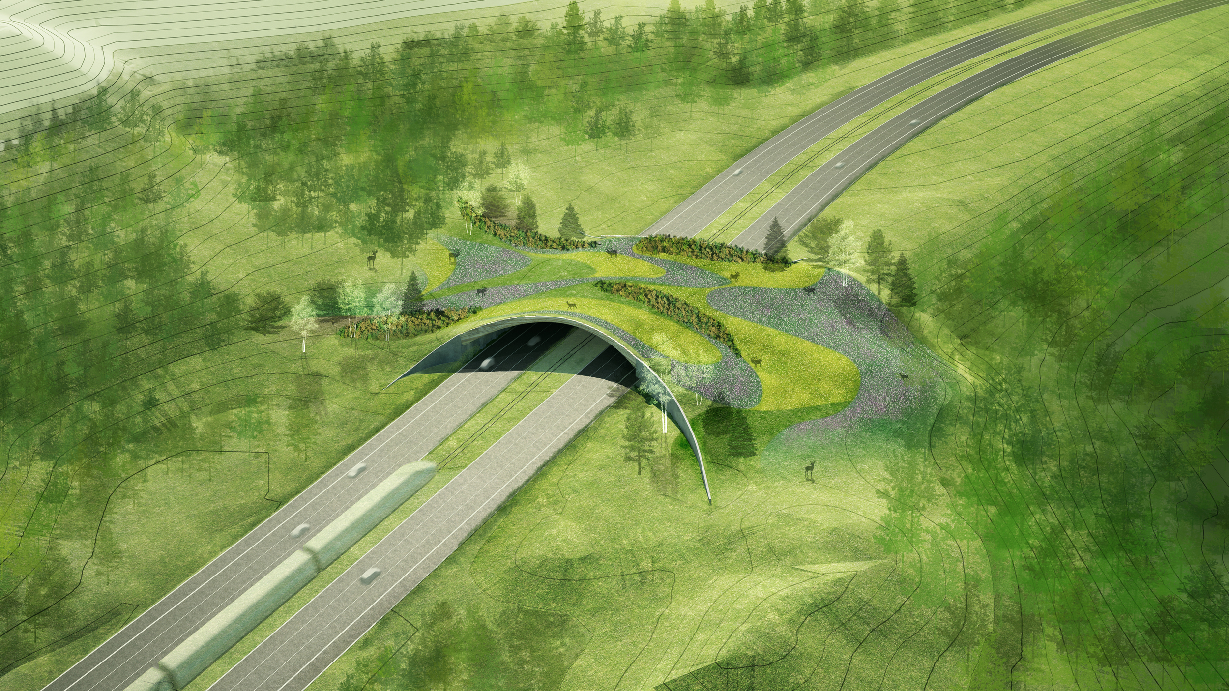 BA_ARC Wildlife Crossing_Main_Birdseye.jpg