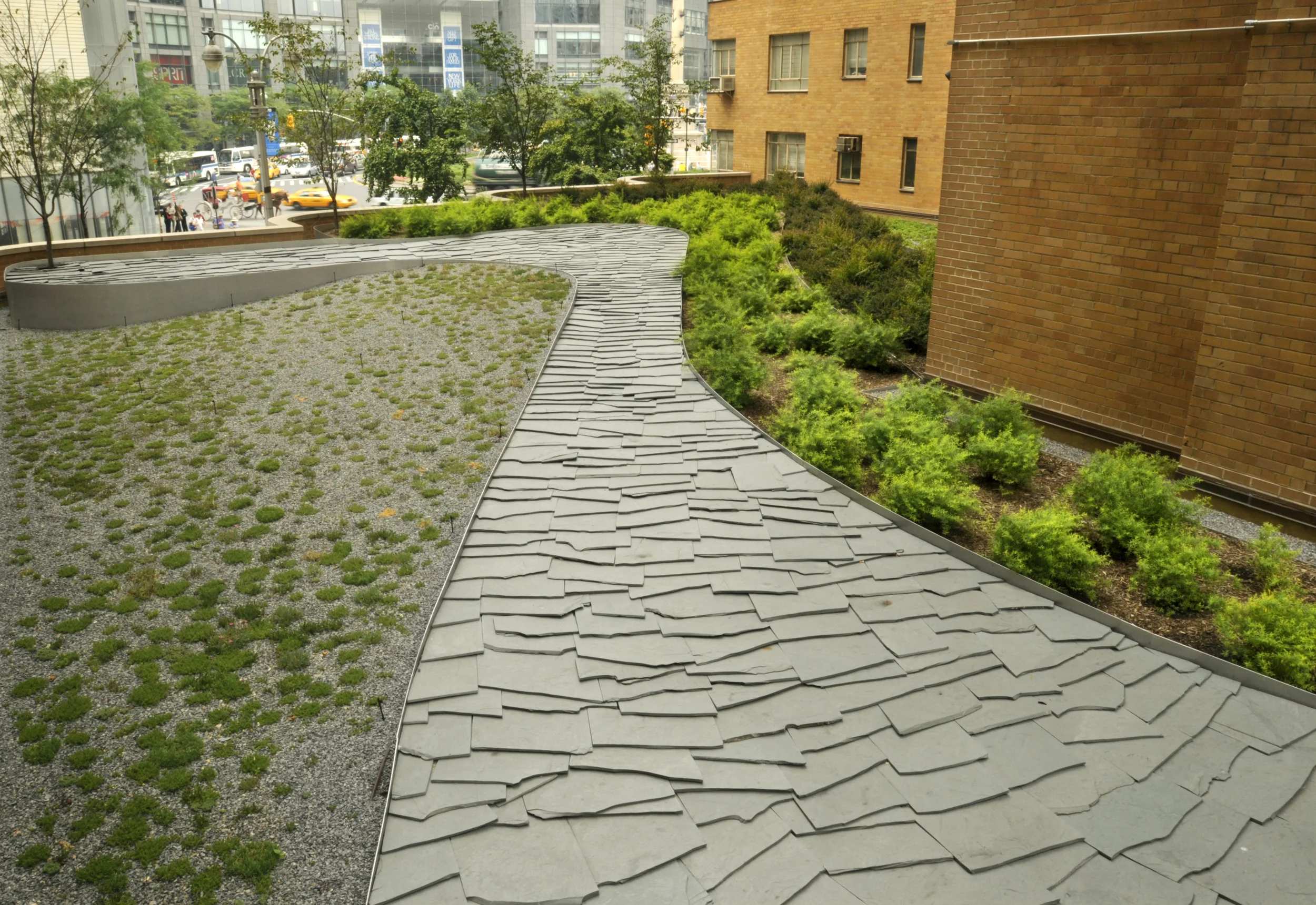 BA_240 Central Park_Mark Dye_path.jpg