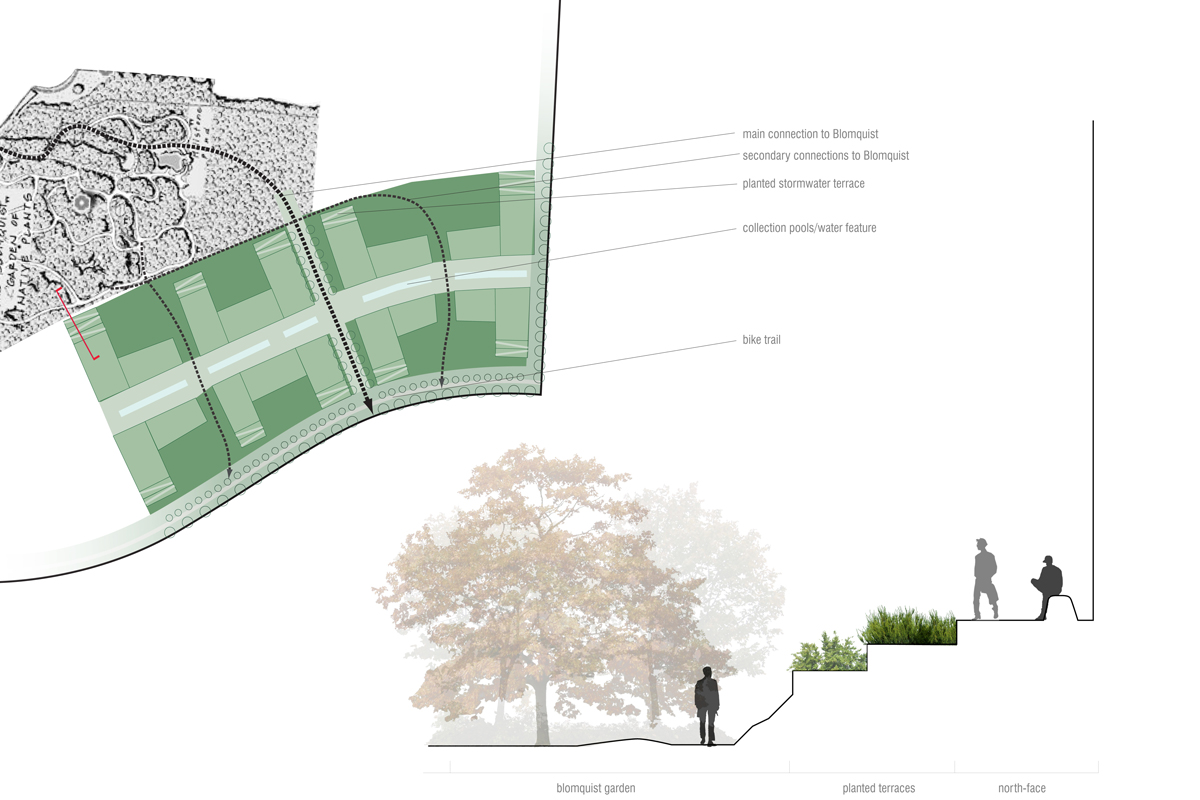 BA_dukemasterplan_plan and section garden.jpg