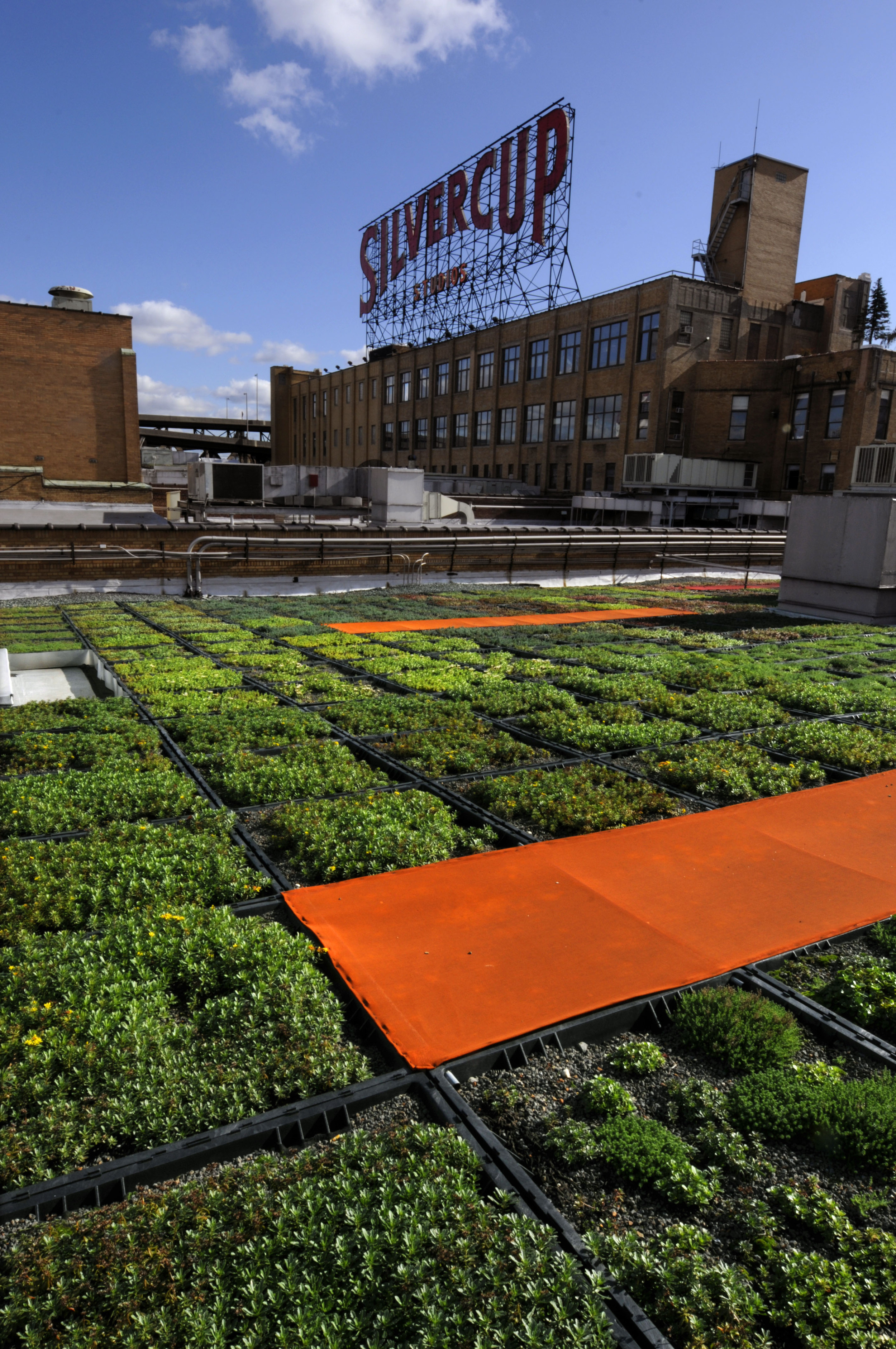 BA_LI Green City_Green Roof Planting_Mark Dye.jpg