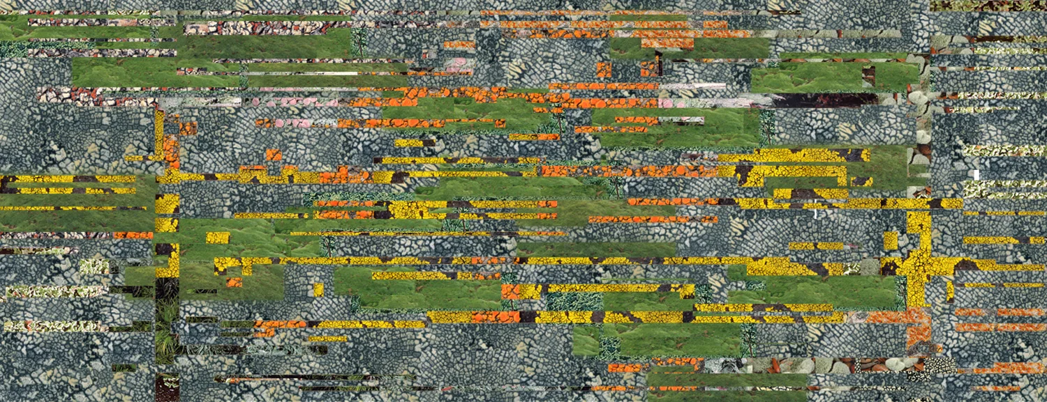 BA_princessdiana_view moss wall.jpg