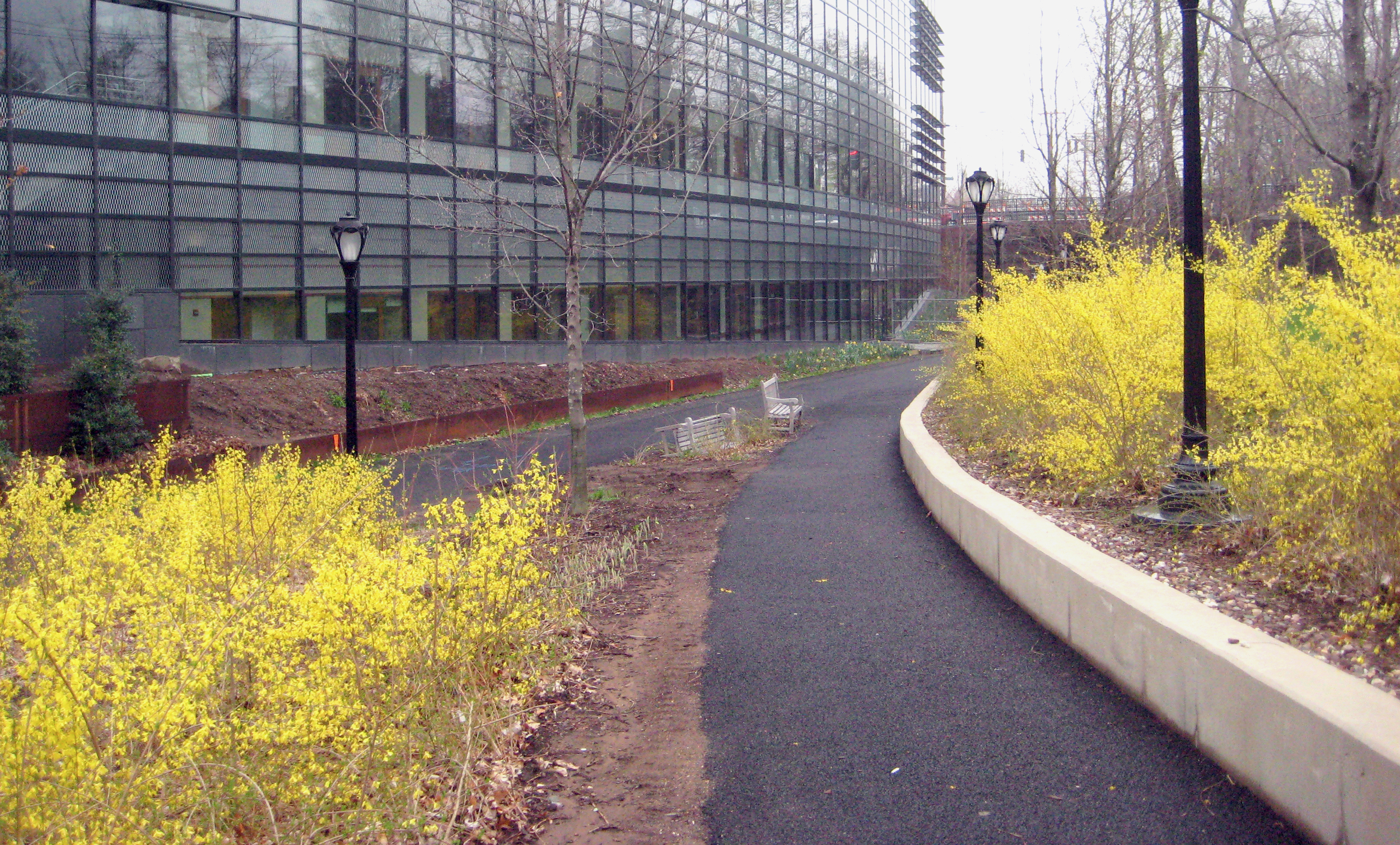 BA_Yale Farmington Canal_5.jpg