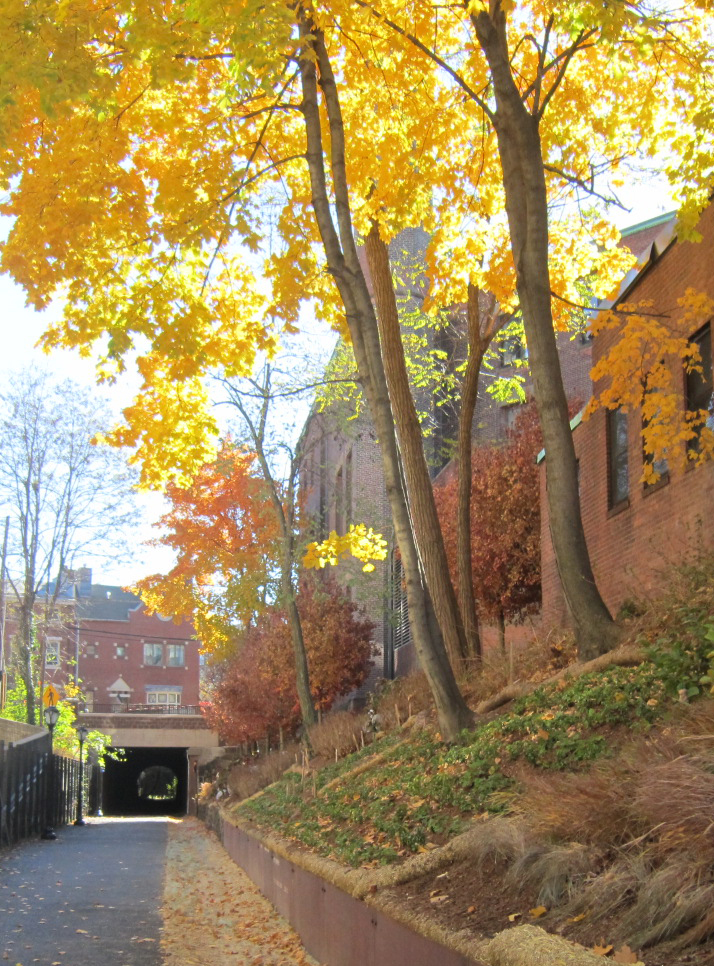 BA_Yale Farmington Canal_15.jpg