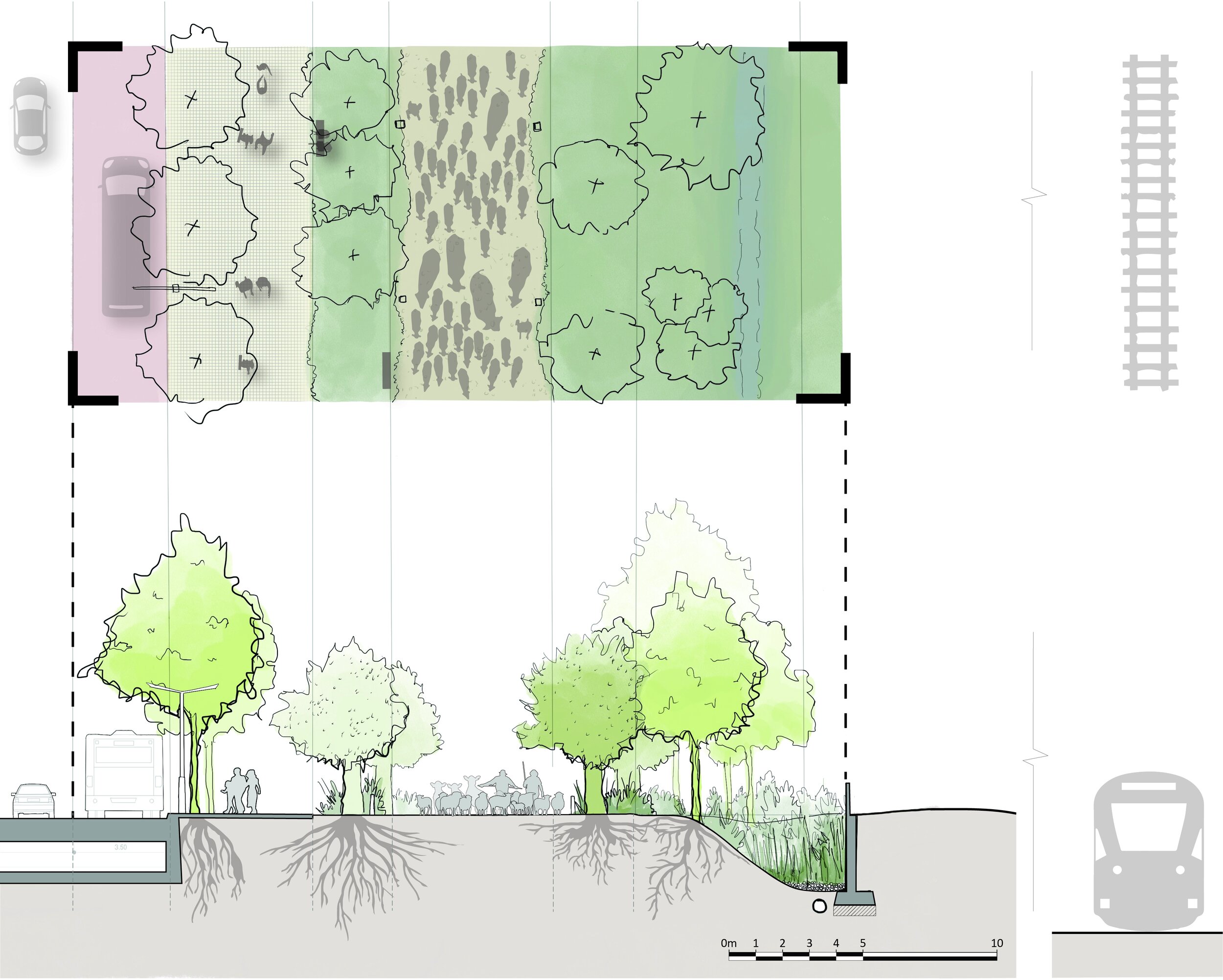 SECTION-PLAN ANTONIO CABEZÓN TTRANSHUMANCIA.jpg