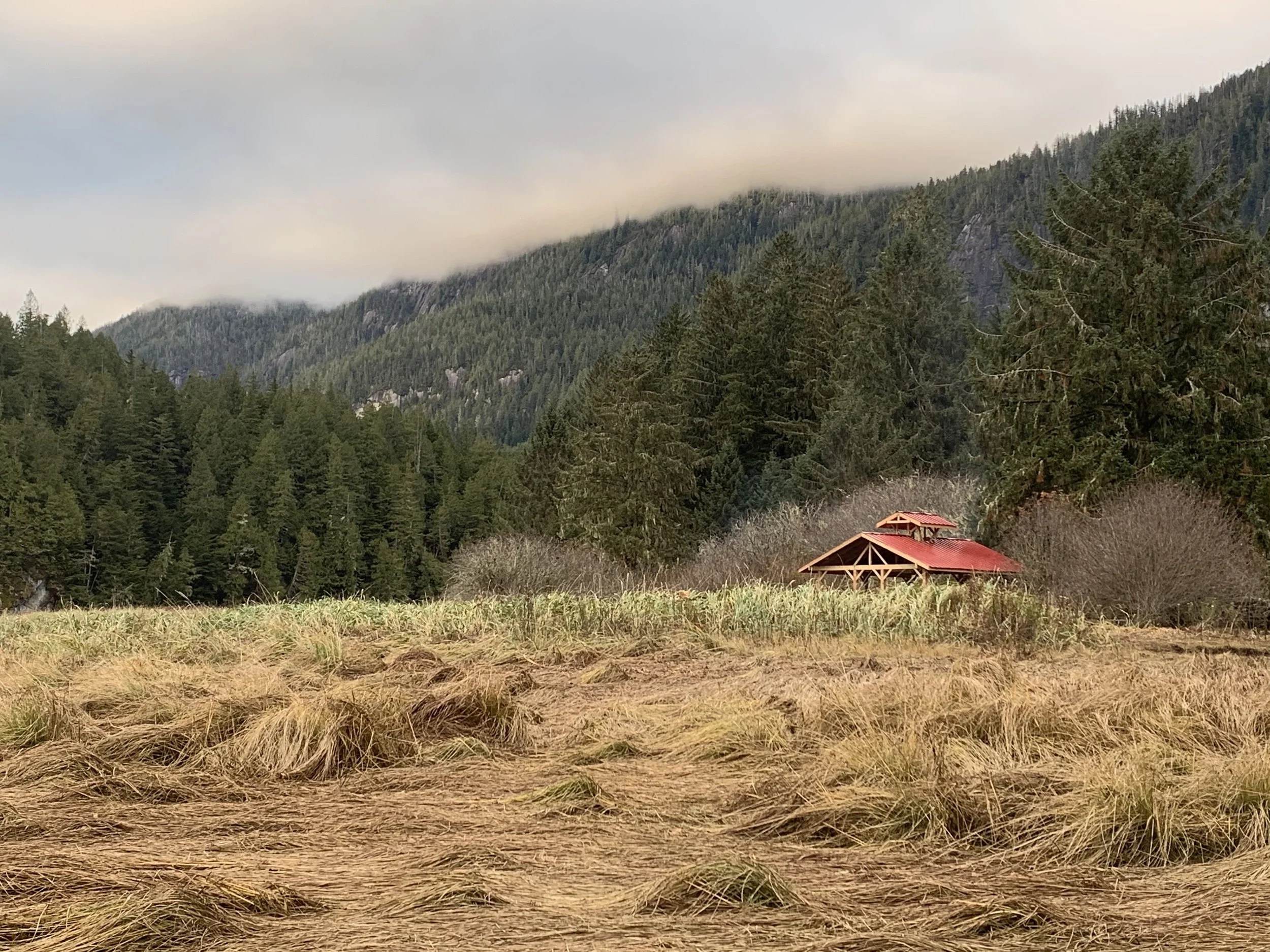 A'wak'was in landscape_Sherry Moon.jpeg