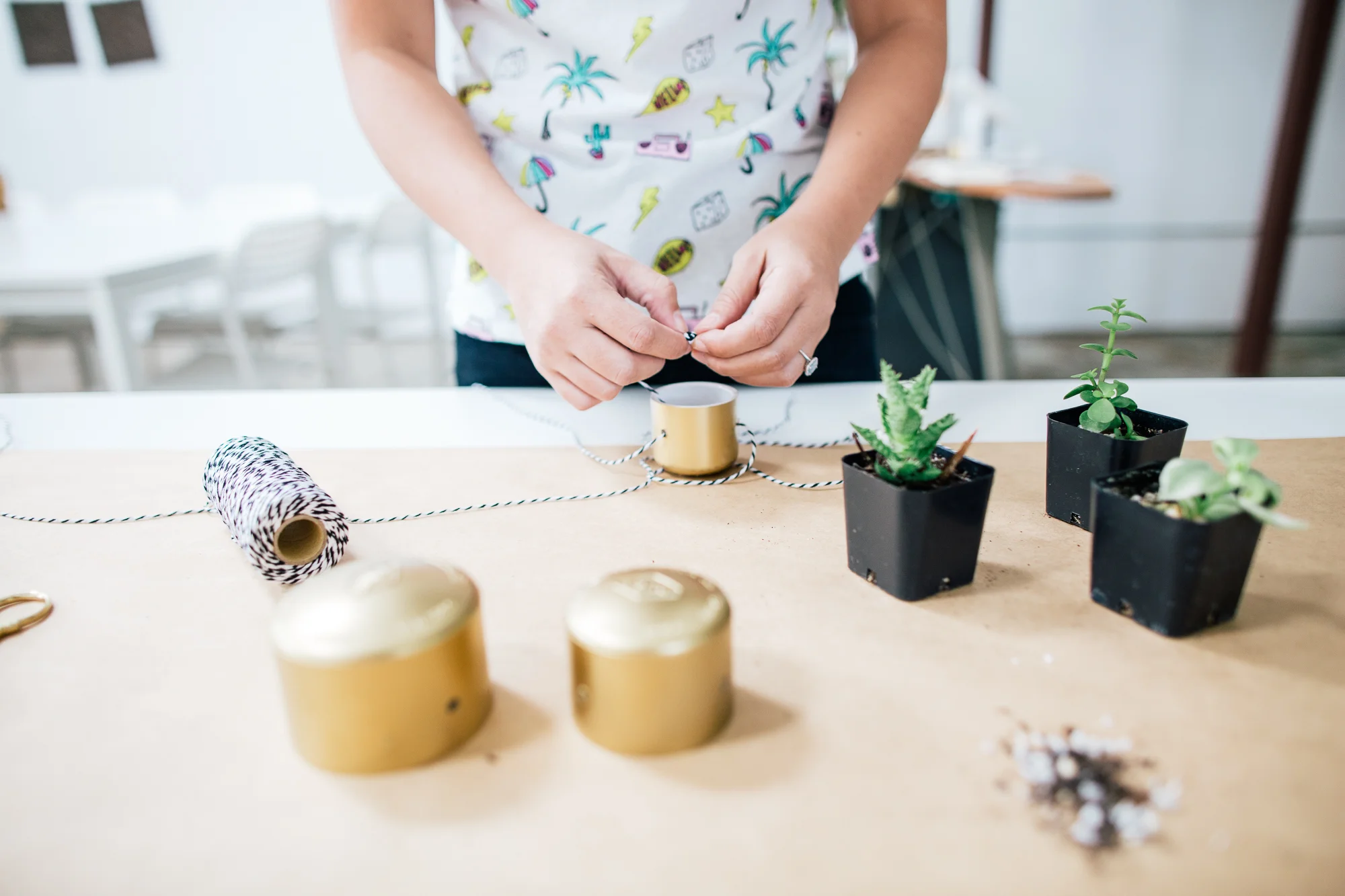 Paper Craft Pantry DIY PVC Planters