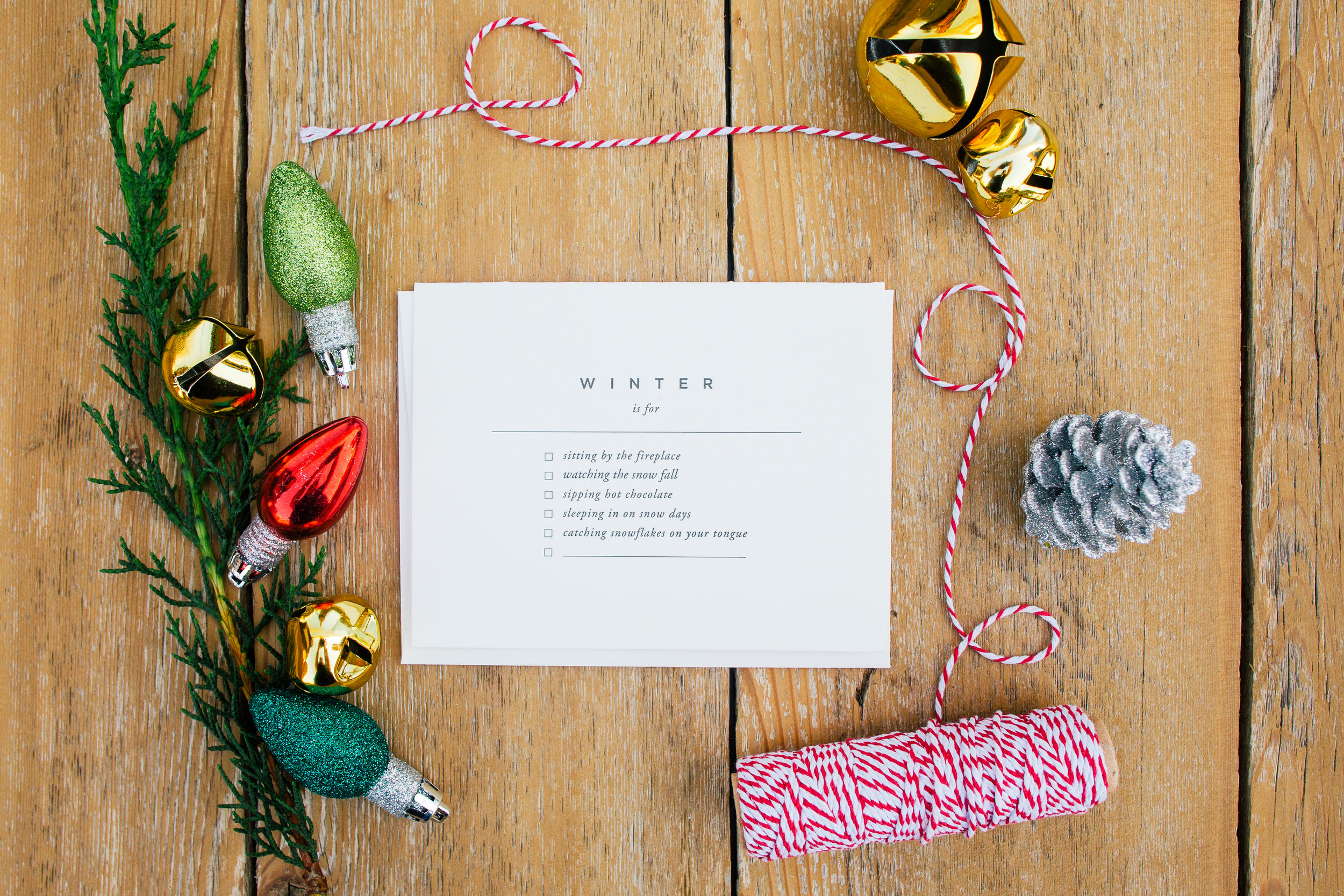 Holiday Christmas Snail Mail Card