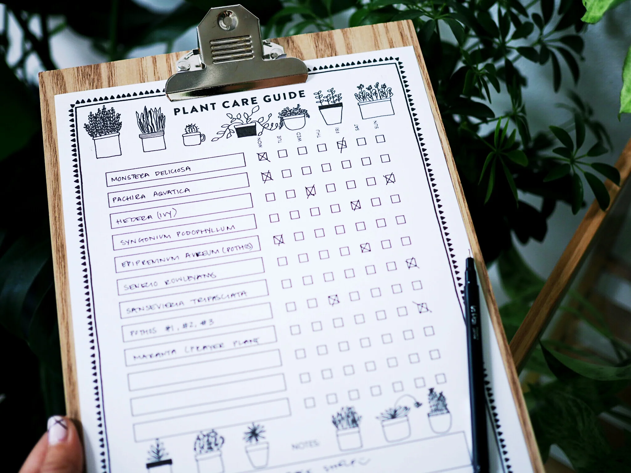 Printable: How to Care For Your House Plants 